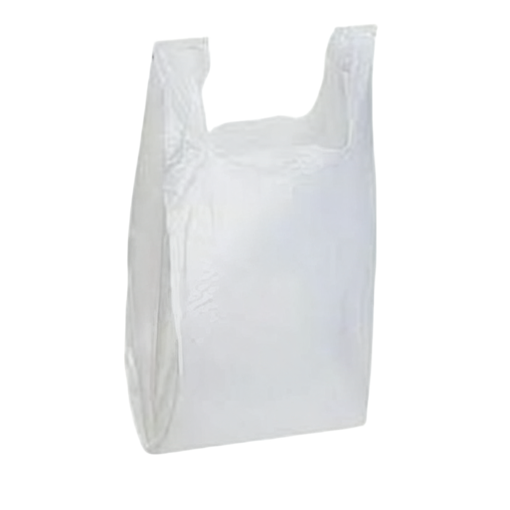 Large Bag (White) 12x6.5x21