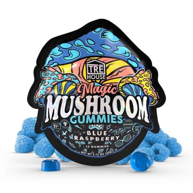 MAGIC MUSHROOM GUMMIES BLUE RASPBERRY