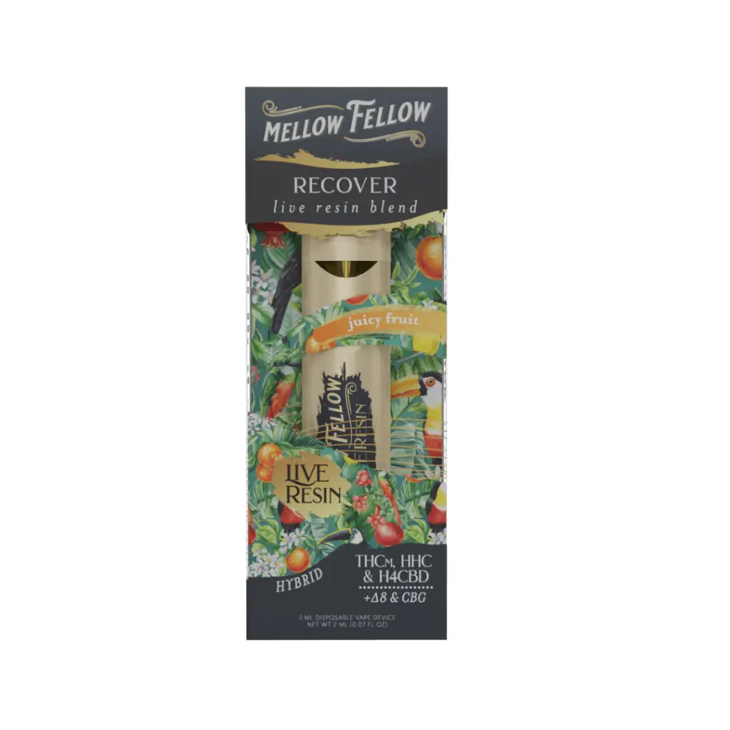 MELLOW FELLOW DISPOSABLE 2 ML RECOVER BLEND JUICY FRUIT