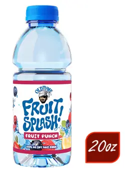 Splash Fruit Fruit Punch 20 oz, 12 pk.